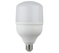 Светодиодная лампа ЭРА STD LED POWER T100-30W-6500-E27 E27/Е27 30 Вт колокол холoдный дневной свет, Б0027004