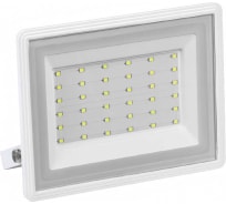 Прожектор IEK LED СДО 06-50 IP65, 6500K, белый LPDO601-50-65-K01