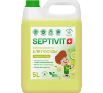 Гель для посуды SEPTIVIT "Ледяной Лайм", 5л 102_5