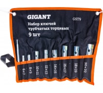 Набор трубчатых торцевых ключей Gigant 9 предметов, размеры6-22мм, GST9