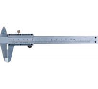 Штангенциркуль Буревестник ШЦ-I-125-0,05 ГОСТ 166-89 174