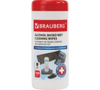 Антибактериальные универсальные спиртовые салфетки BRAUBERG 13x17 см, 100 шт 513536