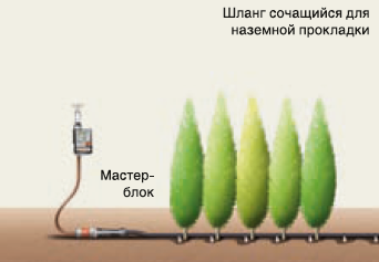 Что нужно для капельного полива